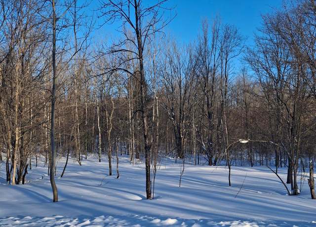 Property at Wilamont Circle Lot 143, Mancelona, MI 49659