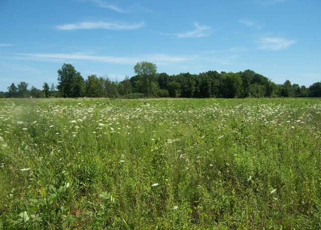 Property at Lot E Calvin Rd Rd, Memphis, MI 48041
