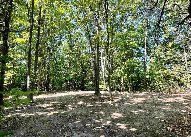 Property at 000 Us-31 S, Williamsburg, MI 49690