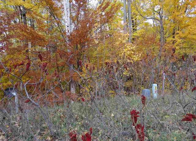 Property at Lot 80 Eden St, Kingsley, MI 49649