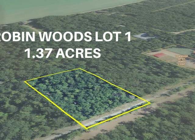 Property at TBD Donegal Bay Rd, St. James Twp, MI 49782