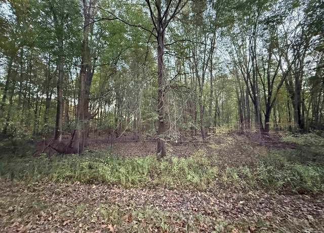 Property at 0 Eggert Rd, Dundee, MI 48131