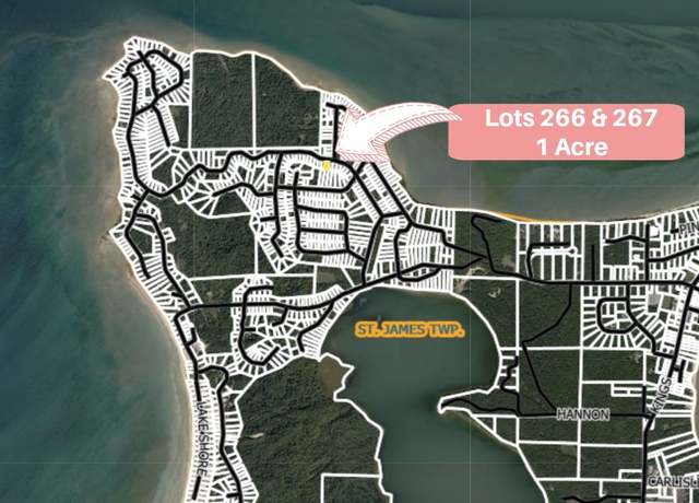 Property at TBD Island Woods Rd, Beaver Island, MI 49782