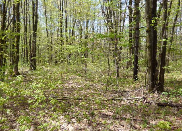 Property at 000 Valleywood Cir, Elmira, MI 49730