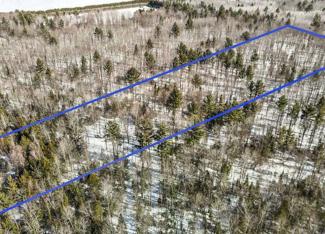 Property at 11483 SW Henschell Rd, Fife Lake, MI 49633