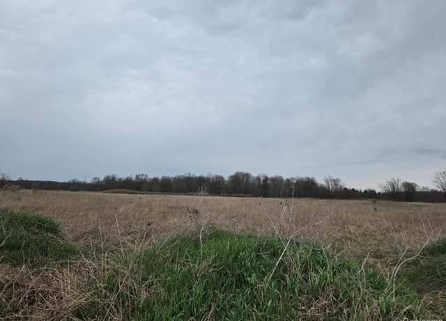Property at 6424 Sherwood Par C F-2 Rd, Conway Township, MI 48836