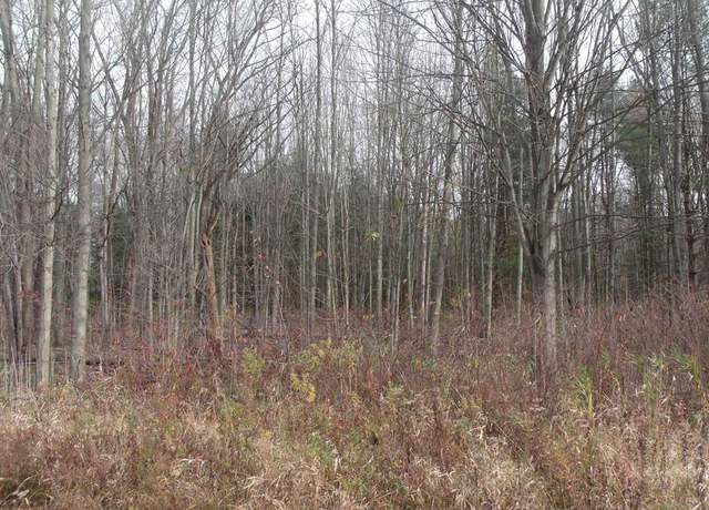 Property at Lot 0001 Palms Rd, Casco, MI 48064