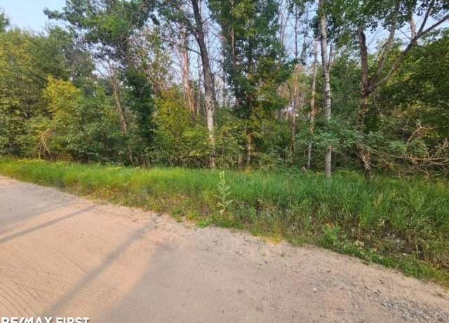 Property at 0 Pocahontas Trl, Roscommon, MI 48653