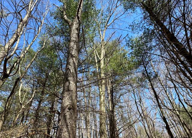 Property at 2.02 Acres VL - Knights Bridge Rd, Leonard, MI 48367