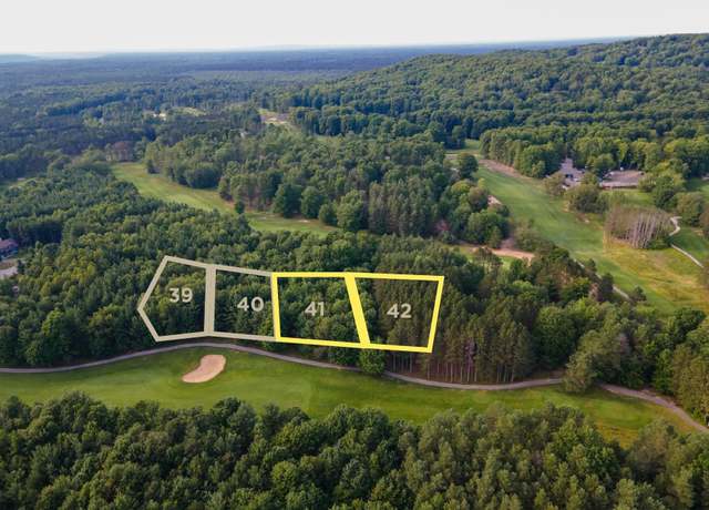 Property at 0000- 41 & 42 Trailside Dr, Thompsonville, MI 49683