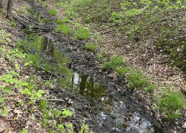 Property at V/L N Hawkins Rd, Luther, MI 49656
