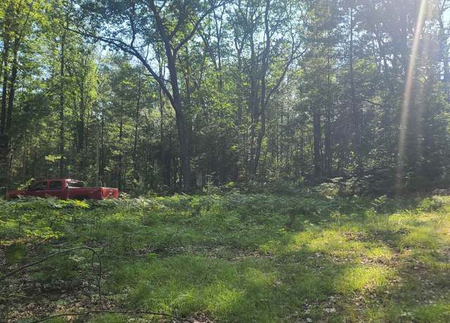 Property at 0000 NE Bailey Rd, Kalkaska, MI 49646