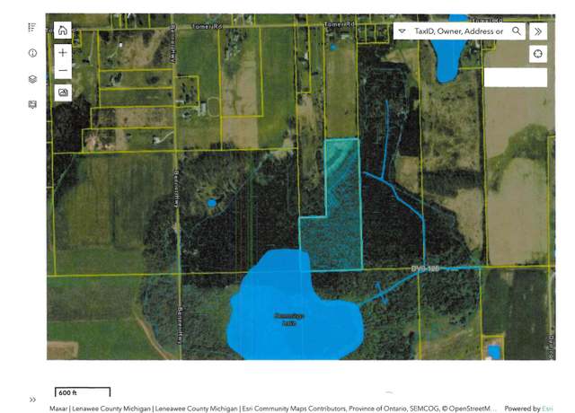 Property at 6000 Tomer Rd, Dover Twp, MI 49235