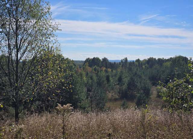 Property at 00 Moorestown Rd, Lake City, MI 49651