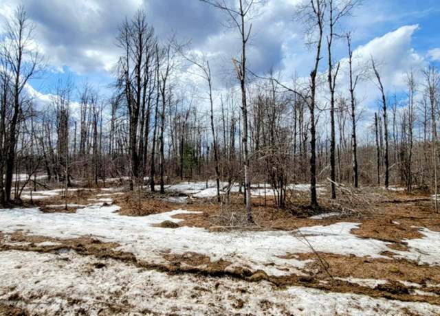 Property at Shadyshore Pkwy, Elmira, MI 49730