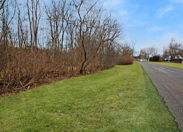 Property at 0 Woodruff Rd Rd N, Flat Rock City, MI 48134