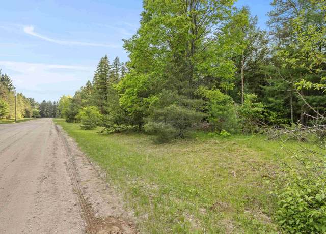 Property at Sleepy Hollow Honor Hwy, Inland Township, MI 49643