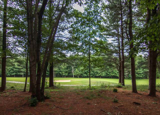 Property at 0000-Unit 40 Trailside Dr, Thompsonville, MI 49683
