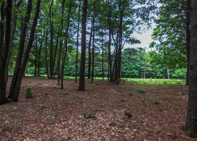 Property at 0000-Unit 41 Trailside Dr, Thompsonville, MI 49683