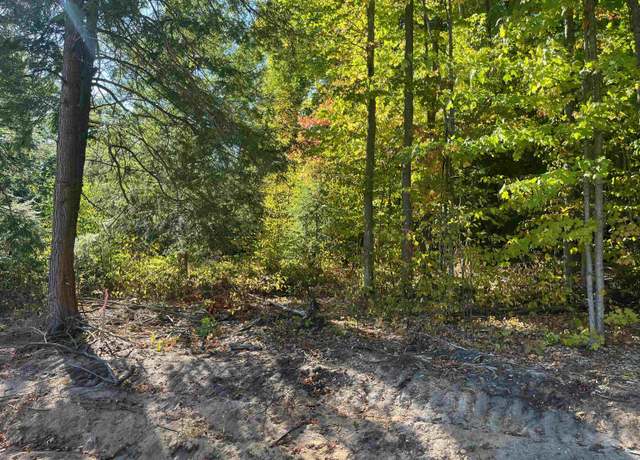Property at 4735 Leaning Birch Dr, Traverse City, MI 49685