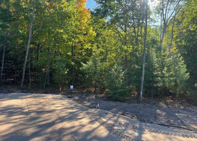 Property at 4655 Leaning Birch Dr, Traverse City, MI 49685