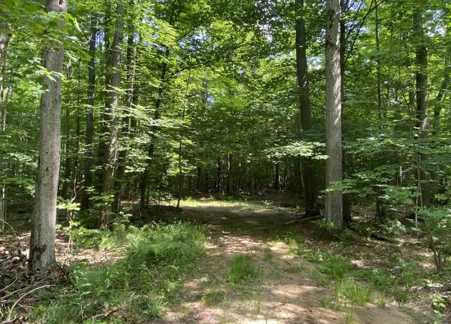 Property at Demerly Rd, Benzonia, MI 49616