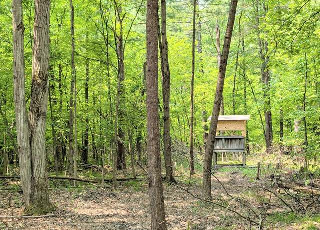 Property at VL Pinelands Rd, Gladwin, MI 48624