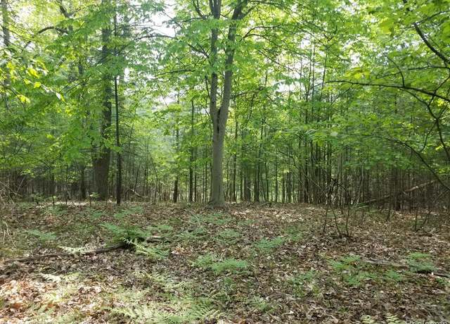 Property at 0000 Franklin, Yates, MI 49642