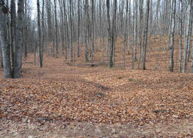 Property at 000 Woodline Rd, Rapid City, MI 49676