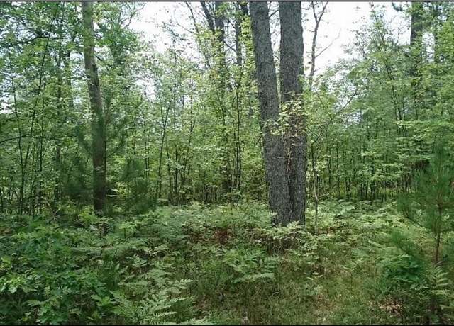 Property at 185 Fieldstone Dr, Lewiston, MI 49756