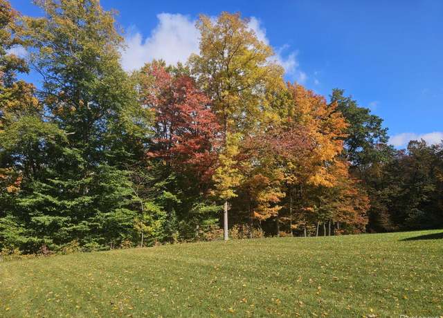 Property at 5284 Lily Ann Ln, Dryden Township, MI 48428