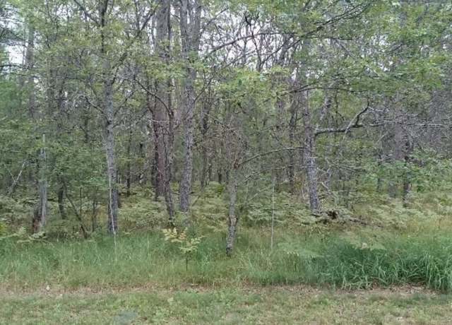 Property at 0 Garland-williams Blvd Lot 46 Rd, Lewiston, MI 49756