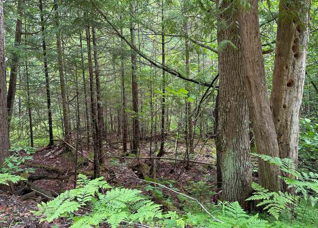 Property at 000 Birchcrest, Kalkaska, MI 19646