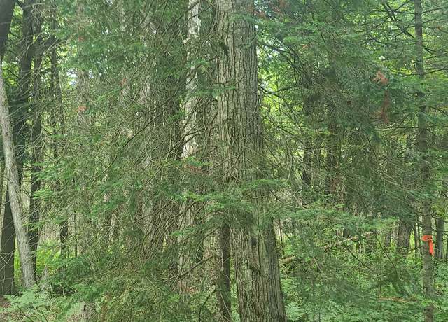 Property at Us-131, SW, Kalkaska, MI 49646