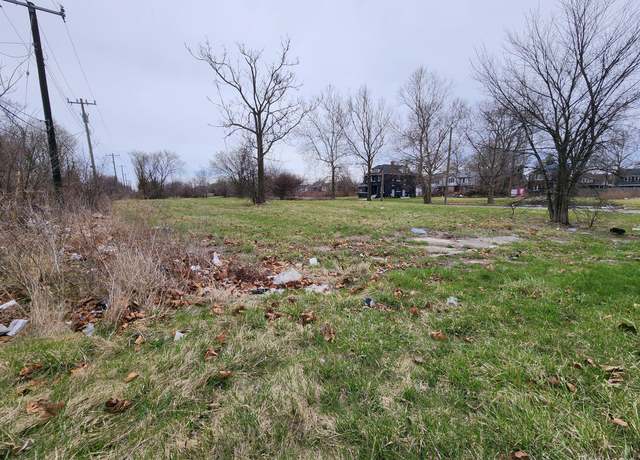 Property at 994 Kitchener St, Detroit, MI 48215