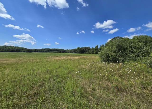 Property at 000C Leckrone Rd, Brethren, MI 49619