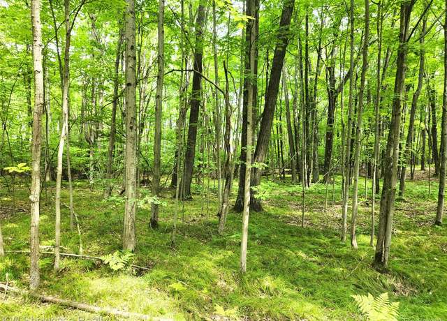 Property at 000 Red Fox Run, Lincoln Township, MI 48622