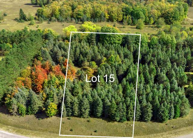 Property at Lot 15 Lipp Farm Rd, Benzonia, MI 49616