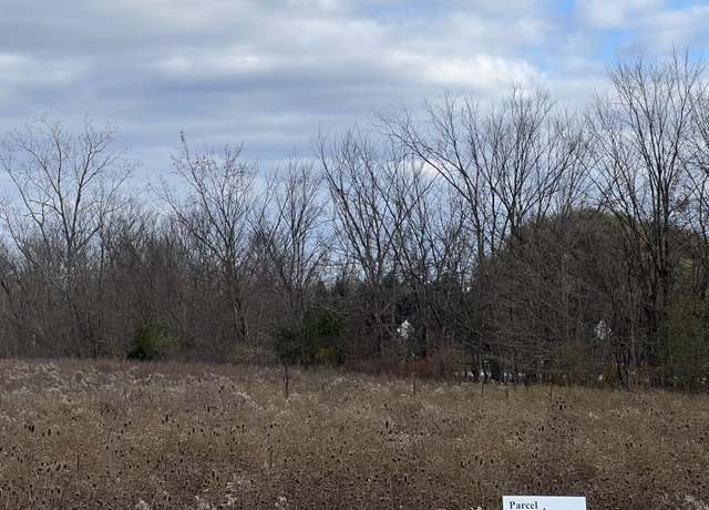 Property at Lot A - VL Millville Rd, Lapeer, MI 48446