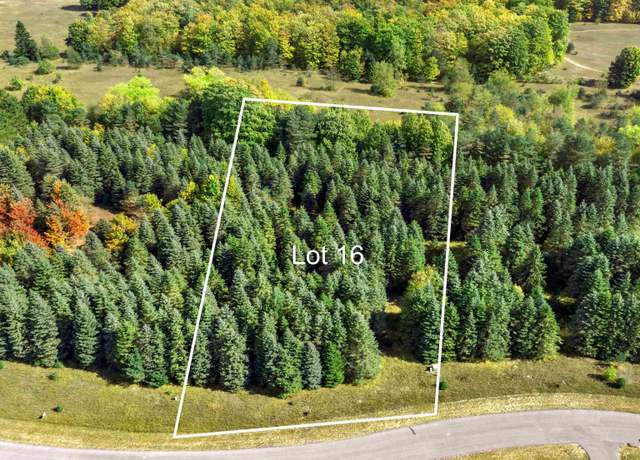 Property at Lot 16 Lipp Farm Rd, Benzonia, MI 49616