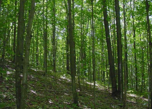 Property at 0 Fryzelka Rd, Buckley, MI 49620