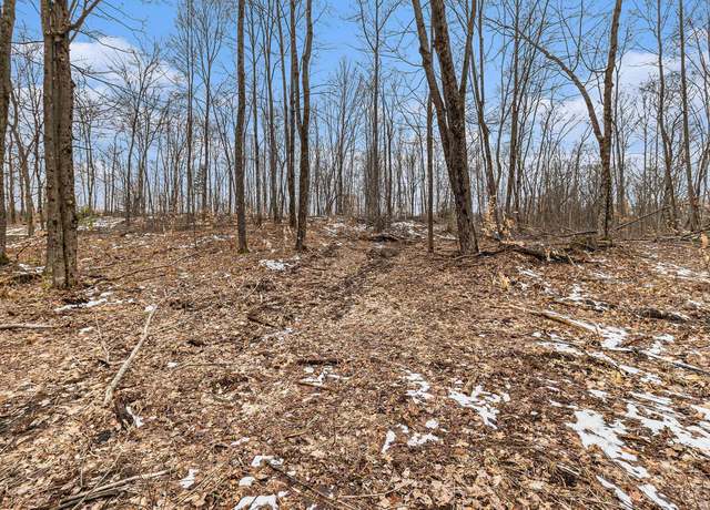 Property at 00 E Oakwood Trl, Reed City, MI 49677