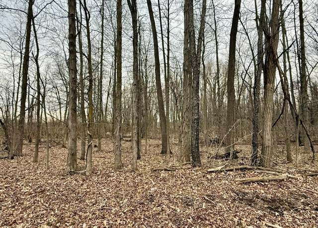 Property at V/L Tyrrell Rd, Morrice, MI 48857