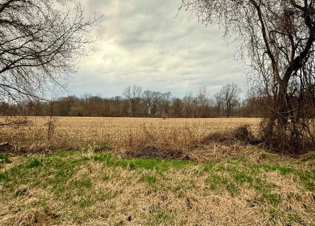 Property at V/L B-2 Cork Rd, Morrice, MI 48857