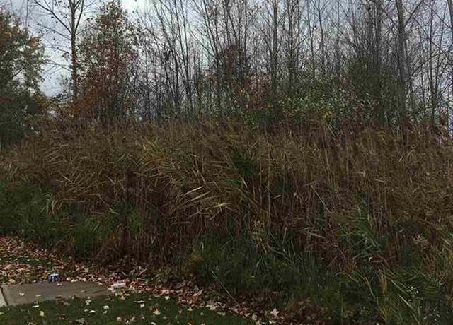 Property at 5148 Ivy Ln, East China, MI 48054