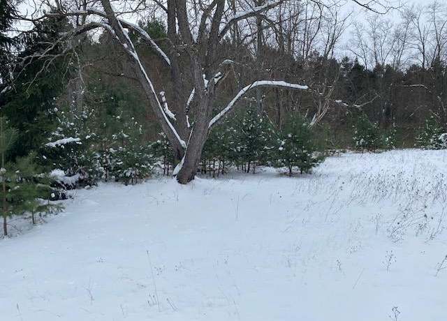 Property at 5766 Wallaker Rd, Benzonia, MI 49616