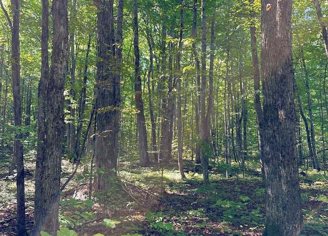Property at 000 Woodland Dr NE, Kalkaska, MI 49646