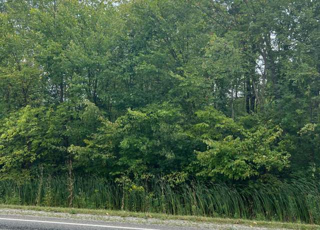 Property at 00 Wadhams Rd, Kimball Township, MI 48074