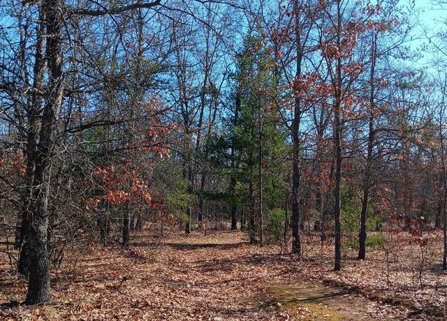 Property at 0000 Cedar Creek Rd, Wellston, MI 49689