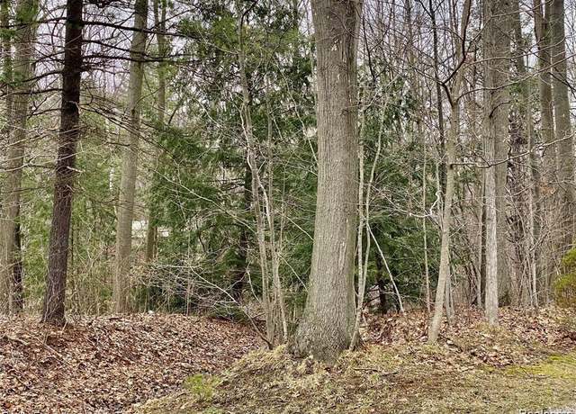 Property at V/L Krystal Ct, Clyde Township, MI 48049